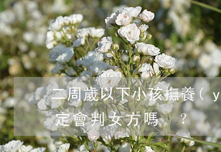 二周歲以下小孩撫養(yǎng)權法院一定會判女方嗎？